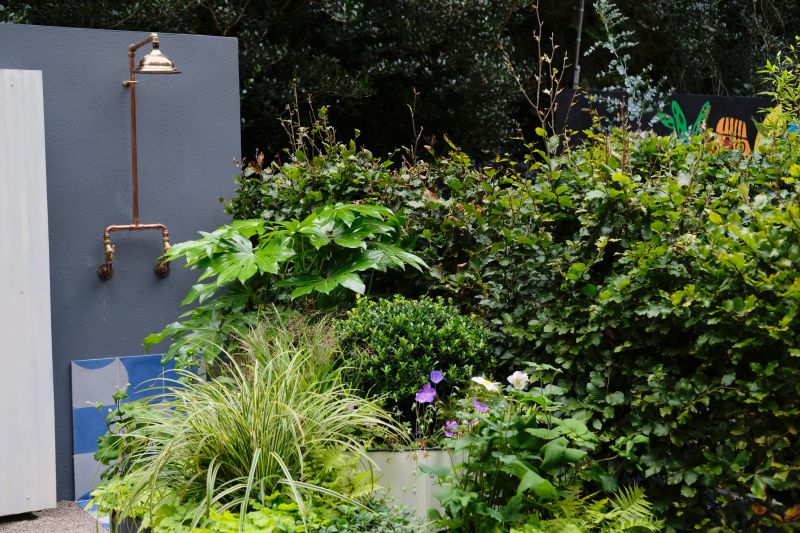 Shower Plumbing Components